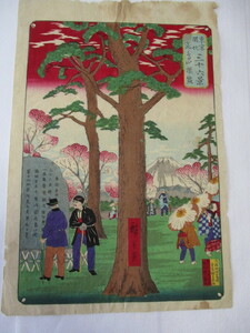 浮世絵・東京開化・三十六景・富士山が見えます・作者は広重画・中央に松の木あり・桜盛・周りに傷み少しあり・