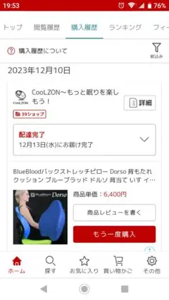 BlueBlood Dorso 背もたれ クッション 専用バッグ付き