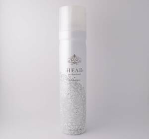 花精化学工業 HEAD ヘッド プロフェッショナルヘアスプレー ブリリアントグロス 160g