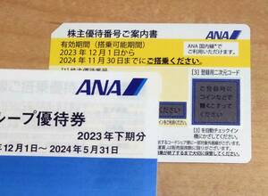 11月末日まで有効　全日空　ANA　株主優待券１枚　片道50％割引　運賃半額　コード通知で送料無料　送付も可能