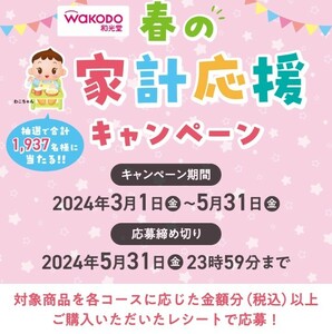 ■□個数2 A賞 和光堂 春の家計応援キャンペーン デジタルギフト 5000円分 レシート 懸賞・応募5月31日□■