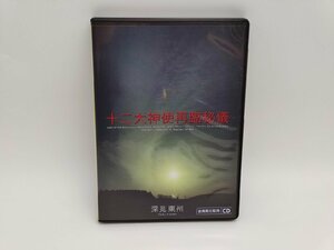 インボイス対応 中古 深見東州 十二大神使再臨秘儀 ＣＤ×2枚