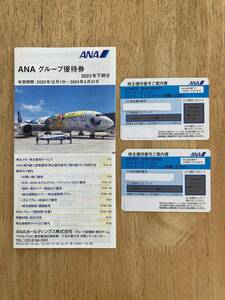 送料無料 ANA 株主優待券 2枚（2024年5月31日搭乗迄有効）ANAグループ 優待券 冊子付