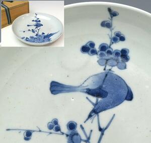【趣楽】 江戸時代　古伊万里花鳥図皿　直径１７，６ｃｍ　藍柿　本物保証　Ｖ１５１１