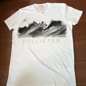 HOLLISTER CALIFORNIA Tシャツ HAWAII S 半袖 ホリスター カリフォルニア　サーフ