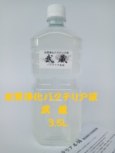 【バクテリア本舗 本店】武蔵 [3.5L]高濃度水質浄化バクテリア液(らんちゅう,めだか,グッピー,金魚,錦鯉,シュリンプ,熱帯魚,海水魚）