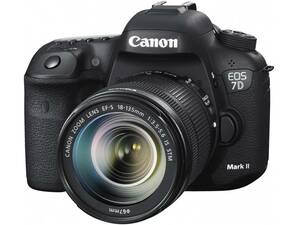 【2日間から~レンタル】Canon EOS 7D Mark Ⅱ 2カメラ 選べるレンズ無料or有料(SDXC64GB＆予備B付)【管理CB02】