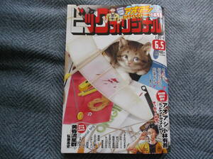 ビッグコミックオリジナル ２０２４・６・５号　送料１１９円