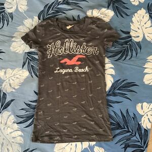 半袖Tシャツ hollister サイズXS