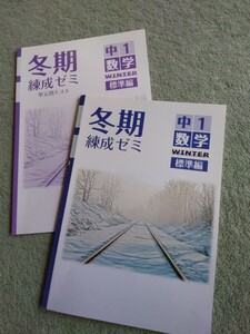 「値下げ」中学1年▼冬期錬成ゼミ&単元別テスト《問題集》数学▼解答有り