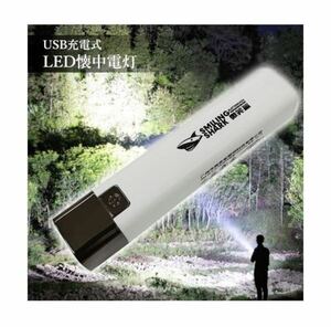 ◇送料無料◇ 懐中電灯 LED USB充電式 軽量 明るい 防水 防災 小型 ライト モバイルバッテリー ホワイト