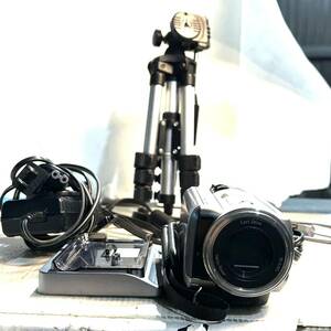 SONY ソニー Handycam ハンディカム ビデオカメラ DCR-SR60 通電確認済み (B3933)
