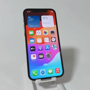 ★5029★超美品 iPhone12Pro 256GB グラファイト バッテリー最大100% 利用制限〇付属品完備 docomo SoftBank au即決OK 