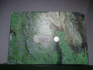 純正　ロレックス　16622　時計の　深箱　C型タイプ　中古使用品　シミ傷あります。画像で確認できる方のみ。詳細はご質問でお願いします。
