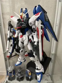 1/100 MGフリーダムガンダムVer・2.0