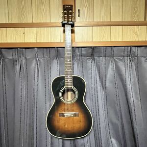 TAKAMINE TSN-10 ニューヨーカータイプ