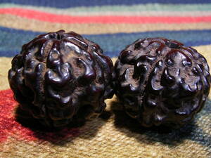 大粒 Old Rudraksha ルドラクシャ 5面 ５ムキ 2個セット 金剛菩提樹 数珠 マーラー mala ネパール