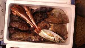 （魚）青森産混じり魚5.0kg3890円即決