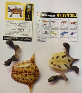 チョコラザウルス　第１シリーズ　018　シネミスガメラ　恐竜　古代動物　UHA味覚糖