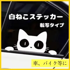 車 猫 ねこ ステッカー シール 窓ガラス バイク 白猫 動物