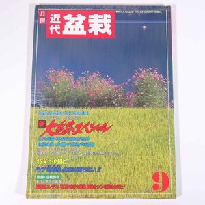 月刊 近代盆栽 No.155 1990/9 近代出版 雑誌 盆栽総合誌 園芸 ガーデニング 植物 特集・名樹への道程・新大追跡スペシャル ほか