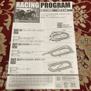 JRAレーシングプログラム2021.1.13(土)愛知杯(GⅢ)、ニューイヤーステークス(L)、淀短距離ステークス(L)