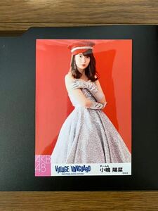 AKB48 小嶋陽菜 写真 VILLAGE VANGUARD 1種