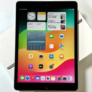 Apple SIMフリー iPad (第7世代) スペースグレイ 32GB MW6A2J/A Wi-Fi+Cellular アクティベーションロック解除済