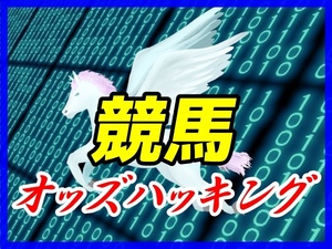 投資競馬の必需品 完全フリー競馬オッズハッキングソフト 投資金削減効果機能付 完全オリジナル 資金配分ソフト 簡単操作 副業 サポート