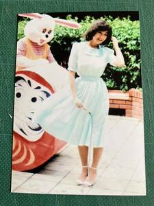 【レア】岡田有希子　写真　野外　風風　風　昭和タレント　80年代アイドル