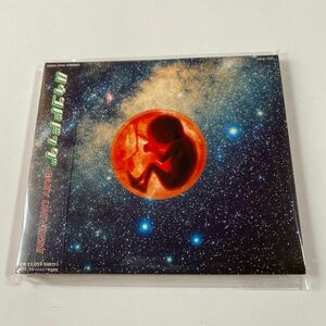 ハウンドドッグ 1CD「BABY UNIVERSE」