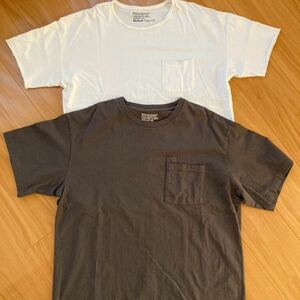SANDINISTA Tシャツ 2枚セット EASY FIT サイズM nonnative/ノンネイティブ THINGS FABRICS YSTRDY