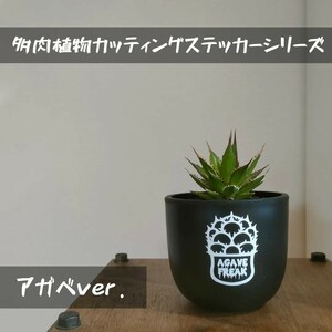 多肉植物カッティングステッカーシリーズ　アガベ　ver. 【チタノタ　オテロイ　ホリダ　エボリスピナ　実生　種子　グッズ　鉢　おしゃれ