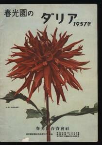 春光園のダリア1957年 ダリヤカタログ ：巨大輪カクタスデコラ咲