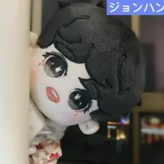 ジョンハン　ぬいぐるみ　セブチ　seventeen 20cm 洋服　マスター