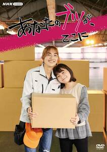 シングルマザーのキャバ嬢 宅配ドライバーになる「あなたのブツが、ここに」DVD 全3枚 NHKドラマ 仁村紗和 佐野晶哉 毎田暖乃 岡部たかし