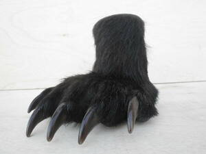 本物 ヒグマの足 ペン立て 熊の手 ひぐま 剥製 羆 北海道 熊爪