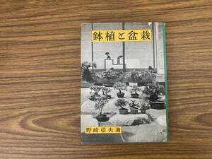 鉢植と盆栽/野崎信夫　 /Z