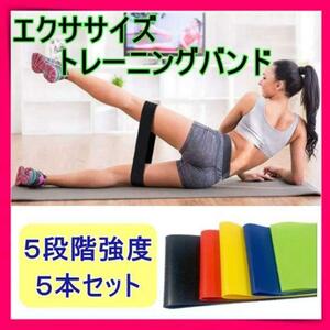 エクササイズ バンド トレーニングチューブ ヨガ　強度別 ５本セット 天然ゴム