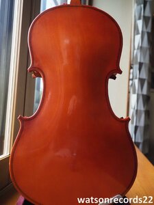 Labelled “Antonius Stradivarius Cremonensis faciebat Anno 1719”＊