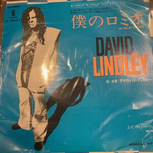 David Lindley(デヴィッド・リンドレー)She Took Off My Romeos(僕のロミオ) 中古レコード