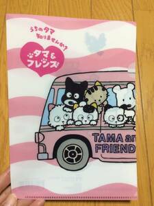 うちのタマ知りませんか？ タマ＆フレンズ クリアファイル A5 新品①