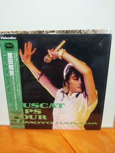 ◆原田知世/マスカット・リップス・ツアー Muscat lips tour　中古LDレーザーディスク