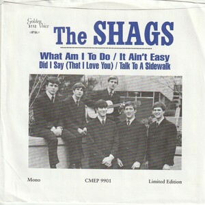 米盤4曲EP 60’s garage THE SHAGS WHAT AM I TO DO ★US 7inch★CMEP9901 ガレージ　フォークロック