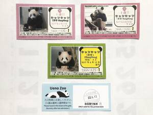 シャンシャン 成長 1歳 2歳 お誕生日 お祝いカード 名刺 再入園券◆上野動物園 ジャイアントパンダが食べる竹の残りを利用したリサイクル紙