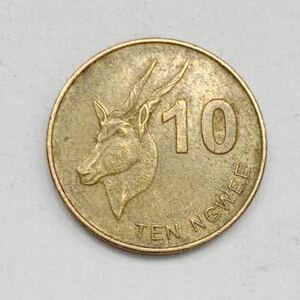 海外コイン　ザンビア　10ングェー　　2012年