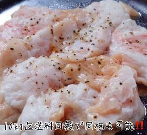 新鮮ホルモン日本売上№1!! 北海道産豚ホルモン 大腸 500g 新鮮 冷蔵!! 国産豚 バーベキュー BBQ ホルモン串 北海道 10kg迄送料同額 同梱可