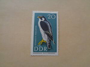 ドイツ民主共和国DDR切手　1967年　 Peregrine Falcon (Falco peregrinus)　ハヤブサ　20