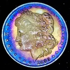 A250アメリカ　自由の女神　1883年　1ドル　イーグル　モルガン　大型硬貨