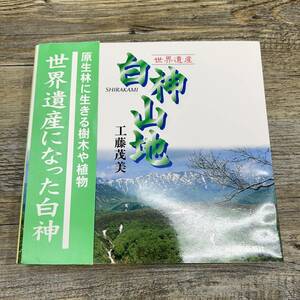 Z-9886■世界遺産 白神山地 原生林に生きる樹木や植物■帯付き■工藤茂美/著■秋田魁新報社■（2003年）平成15年9月20日第3刷